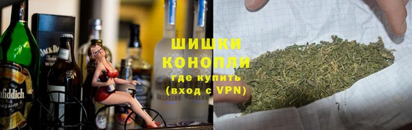 спиды Новодвинск