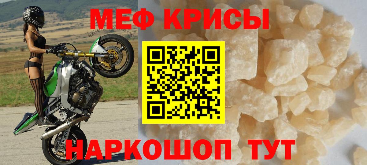 МЕФ  Махачкала