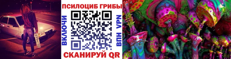 MEGA ссылки  darknet формула  Псилоцибиновые грибы Magic Shrooms  Махачкала 