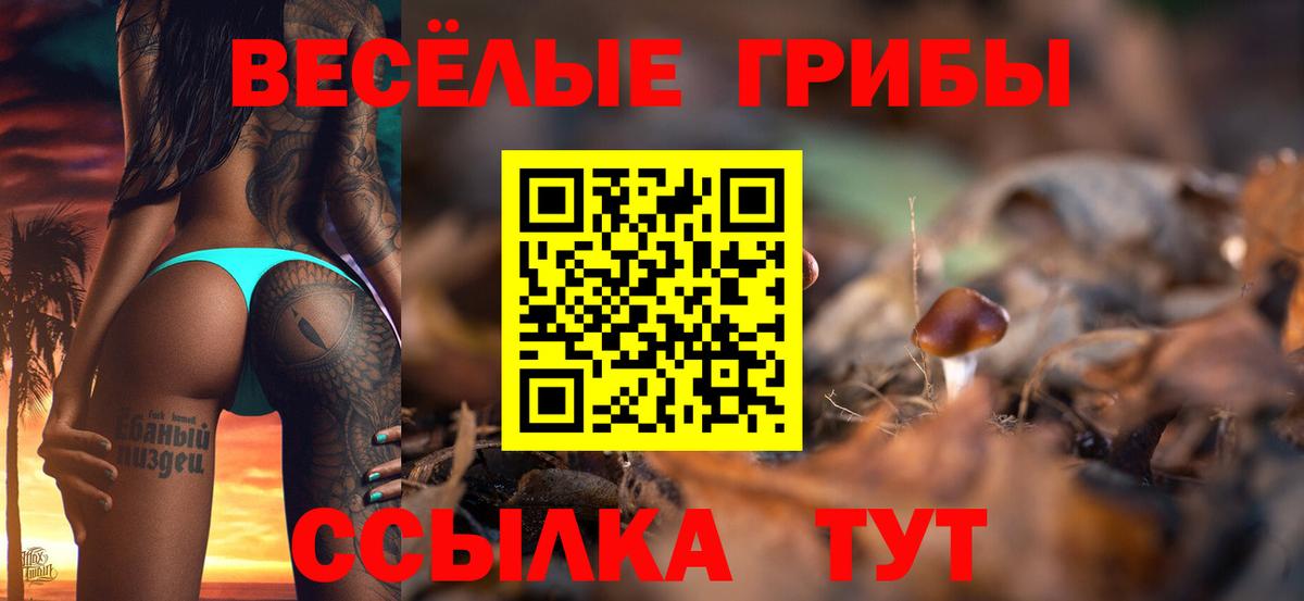Псилоцибиновые грибы мицелий  Псилоцибиновые грибы Psilocybe  продажа наркотиков  Вход с VPN  Махачкала 