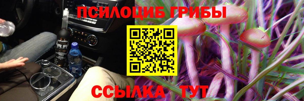 Галлюциногенные грибы Psilocybine cubensis Махачкала