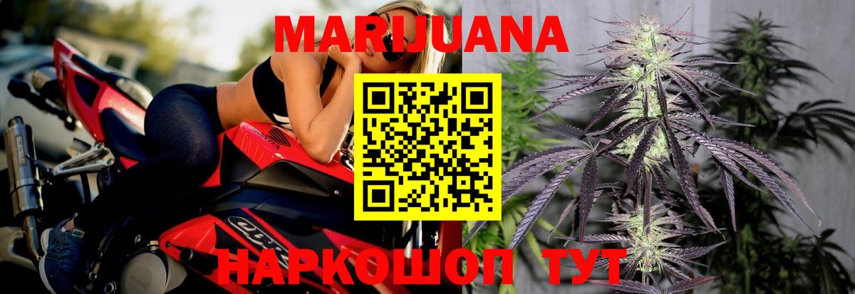 Каннабис OG Kush Махачкала